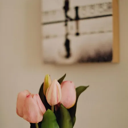 Lägenhet A 100 Metros De La Playa Zurriola *