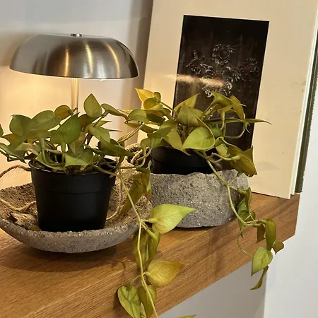 公寓 A 100 Metros De La Playa Zurriola *