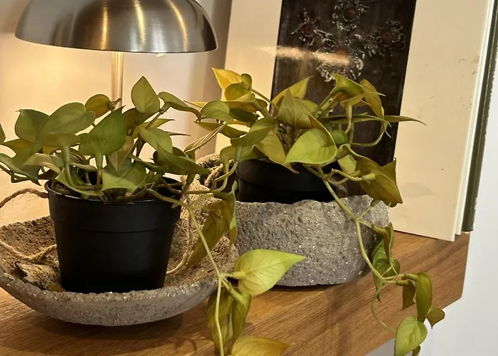 Apartment A 100 Metros De La Playa Zurriola *