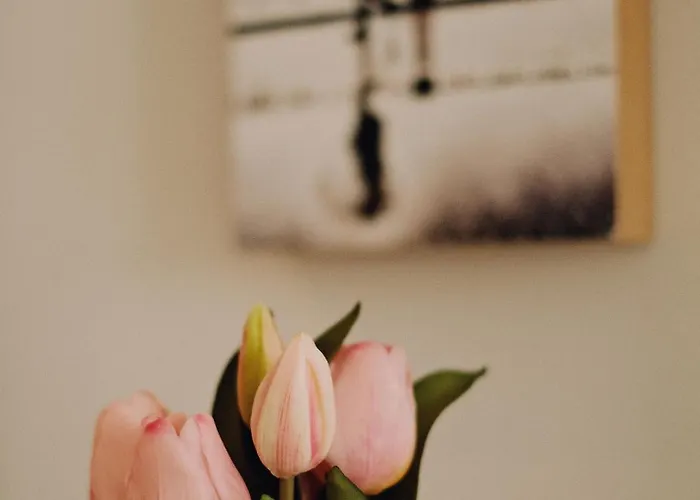 Appartement A 100 Metros De La Playa Zurriola *