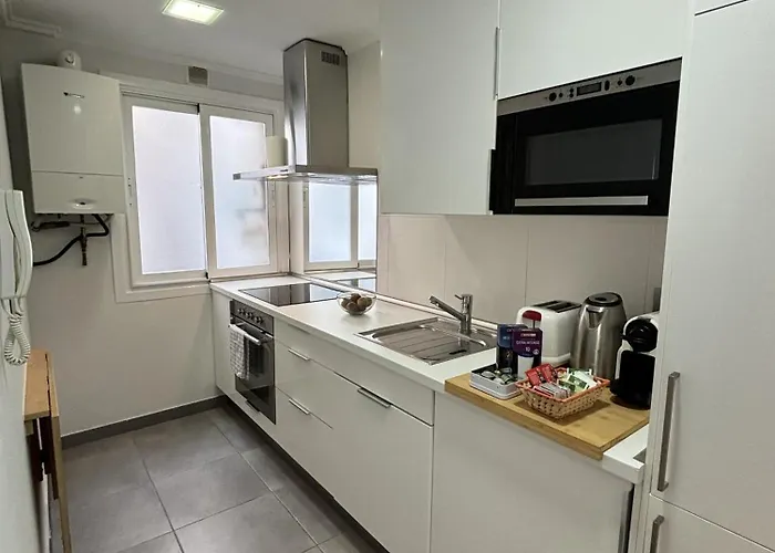 Appartement A 100 Metros De La Playa Zurriola San Sebastian